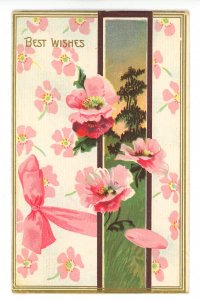 Greeting - Best Wishes     