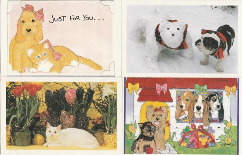 (4 cards) Pets Just For You - Cats Dogs - North Shore Animal League