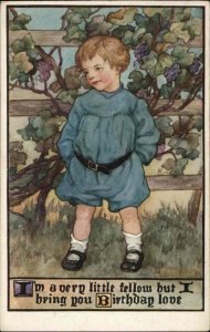 Tuck Field and Flower Little Boy in Blue Birthday c1910 Vintage Postcard