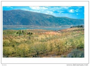 Blossomtime , Osoyoos Lake , B.C. , Canada , 40-60s