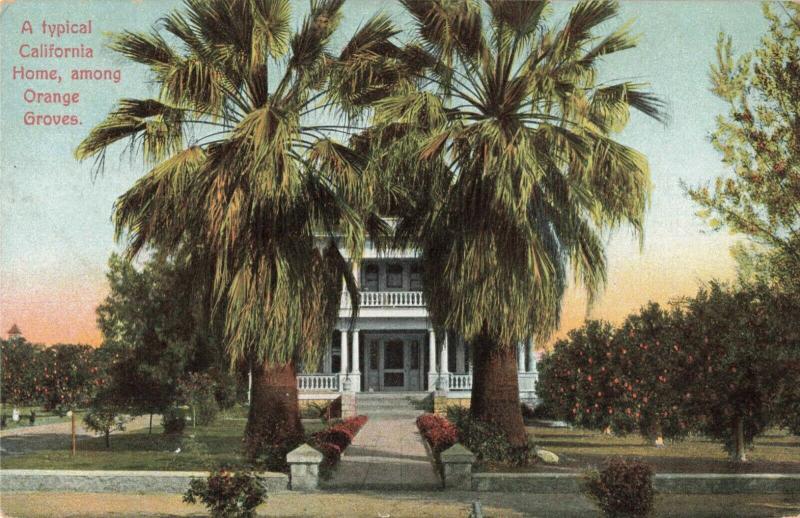 Postcard Home Among Orange Groves California