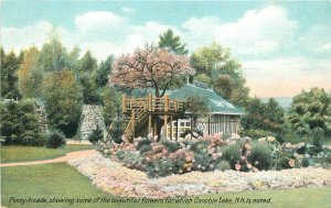 New Hampshire Canobie Lake Penny Arcade Ramsdell #8585 Postcard 22-890