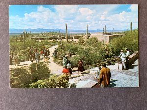 Arizona Sonora Desert Museum Tucson AZ Chrome Postcard H3046081158