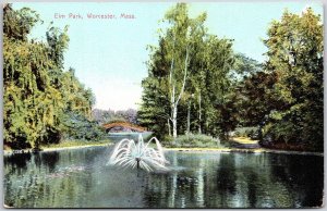 Elm Park Worcester Massachusetts MA Fountain Bridge Trees Forest Postcard