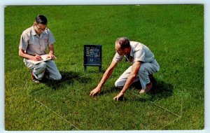 NICHOLSON HARDWARE Rockford IL~Greenfield Crab Grass Killer Advertising Postcard