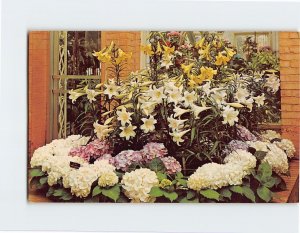 Postcard Spring Flower Show, Phipps Conservatory, Schenley Park, Pennsylvania