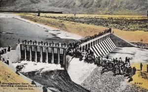 Truckee Carson Nevada Diversion Dam Birdseye View Antique Postcard K36430