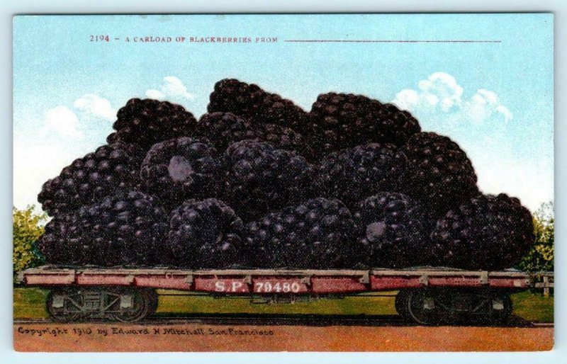 3 Exaggeration Postcards CARLOAD of  BLACKBERRIES, PEAR, RASPBERRIES 1910