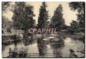 Old Postcard From Fontainebleau forest La Mare Aux pigeons Franchard