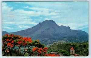 La Montagne Pelee vue de St Pierre MARTINIQUE Postcard