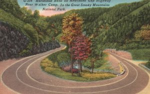 Vintage Postcard 1956 Horseshoe Bend Walker Camp Great Smoky Mountains Park 