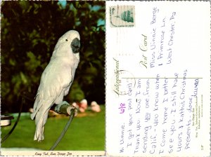 San Diego Zoo (15150