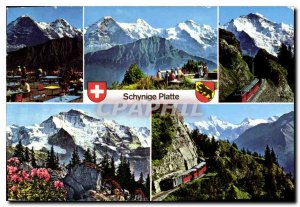 Modern Postcard Schynige Platte Bernese Oberland