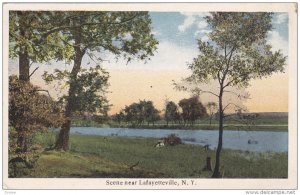 Scene Near LAFAYETTEVILLE, New York, 1910-1920s