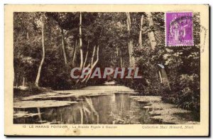 Old Postcard The Marais Poitevin The Great Laugh At Coulon