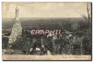 Old Postcard The virgin Volnay vineyards