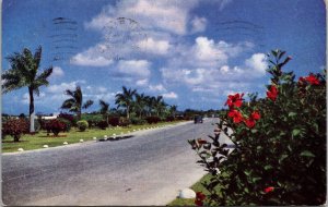 Nassau Highway to Airport Bahamas Postcard PC16