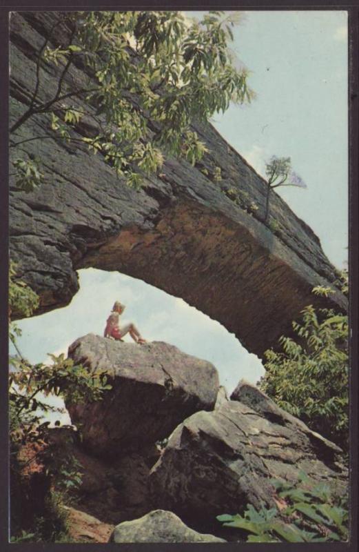 Natural Bridge,State Park,KY Postcard 