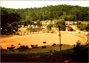 Love Valley, NC North Carolina OLD WEST TOWN ARENA~COWBOY CAPITAL 4X6 Postcard