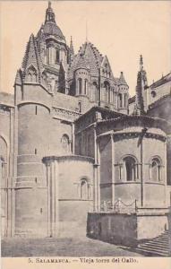Spain Salamanca Vieja torre del Gallo