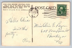 1920  Vine Arch Bridge  Central Park  New York    Postcard