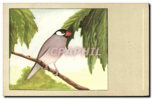 Postcard Old gray Calfrat