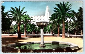 RPPC Le Parc Lyautey CASABLANCA MOROCCO Postcard