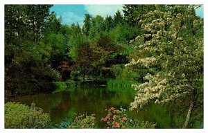 Postcard GARDEN SCENE Victoria British Columbia BC AP9634