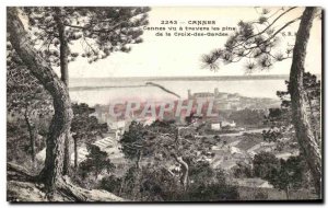 Old Postcard Cannes Vu Travers Les Pins De La Croix Des Gardes