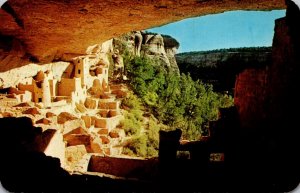 Colorado Mesa Verde National Park The Cliff Palace