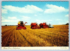 Harvest Time In Saskatchewan, Chrome Postcard #2