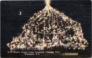 Postcard NC Wilmington World's Largest Living Community Christmas Tree