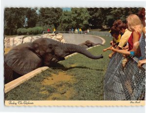 Postcard Feeding The Elephants, Kansas City Zoo, Kansas City, Missouri