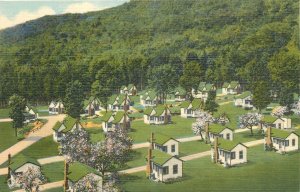 1940s Franconia Notch New Hampshire English Village Indian Head Postcard 25-1209