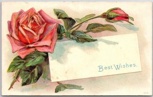 1911 Best Wishes Large Pink Roses Flowers Greetings Posted Postcard