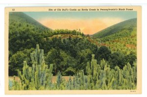 PA - Black Forest. Site of Ole Bull's Castle on Kettle Creek ca 1937