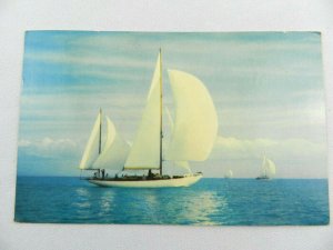 Vintage Postcard Smooth Sailing Boat Color Photo 1966 Sarasota FL H.W. Hannau