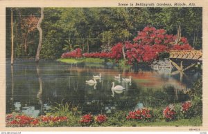 MOBILE, Alabama, 1930-40s; Scene in Bellingrath Gardens