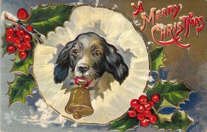 c.1910, Beautiful Dog, Christmas Bell, Merry Christmas, Old Postcard