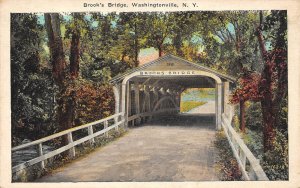 Washingtonville New York Brooks' Bridge, White Border Vintage Postcard U11961
