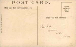 Easter Fantasy Dressed Chicks Board Steamship c1910 Postcard 