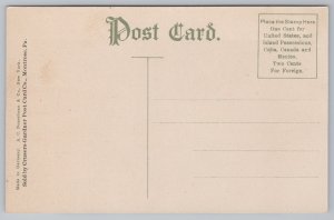 Transportation~Mt Pisgah Plane~Jim Thorpe~Vintage Postcard