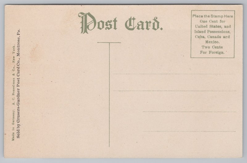 Transportation~Mt Pisgah Plane~Jim Thorpe~Vintage Postcard