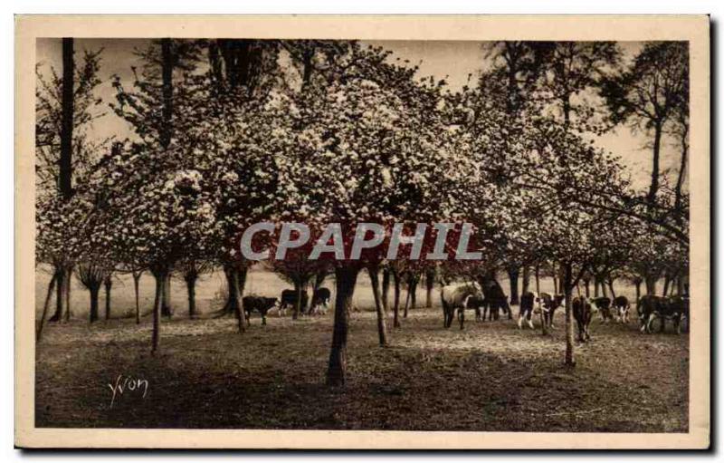 Rouen - Le Clos St Marc on the road to Rouen - La Douce France - Yvon - Old P...