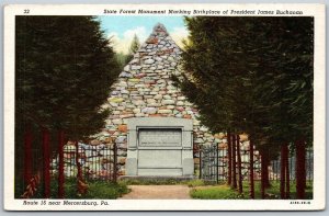 Vtg Mercersburg PA State Forest Monument James Buchanan Birthplace Postcard