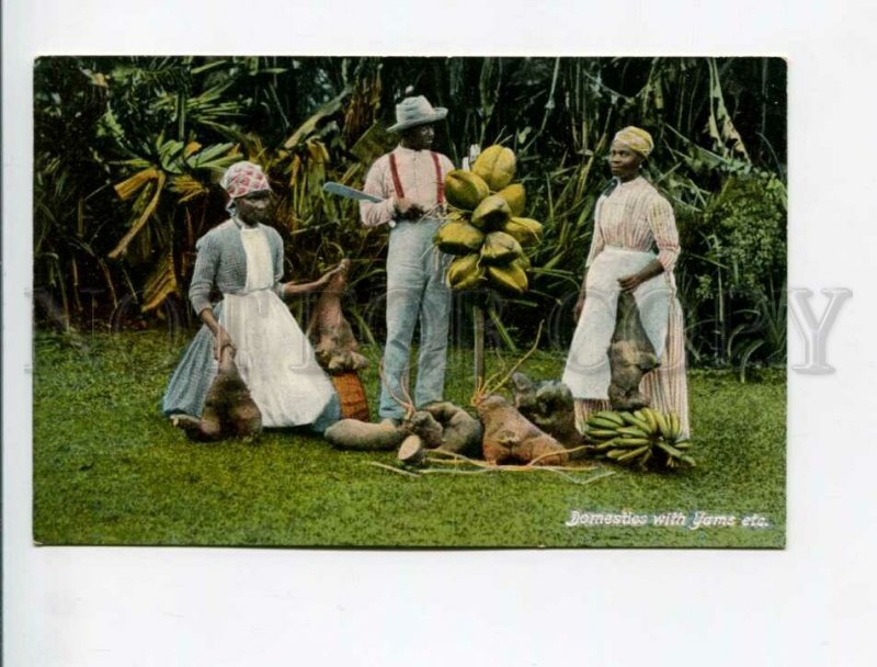 3172176 JAMAICA Domestics with Yams Vintage postcard