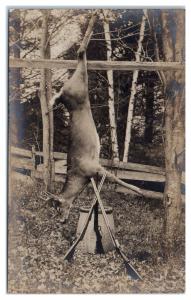 RPPC Hanging 10 Point Buck Deer and Lever-Action Rifles and Shotgun Postcard