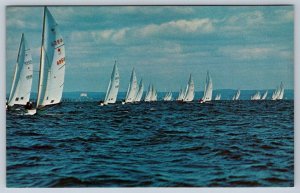 Star Boats, Sailing, Long Island Sound, New York, Vintage Chrome Postcard