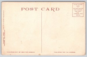 Riverside California~Almond Trees Blooming~River~Detroit Pub Co c1910 Postcard