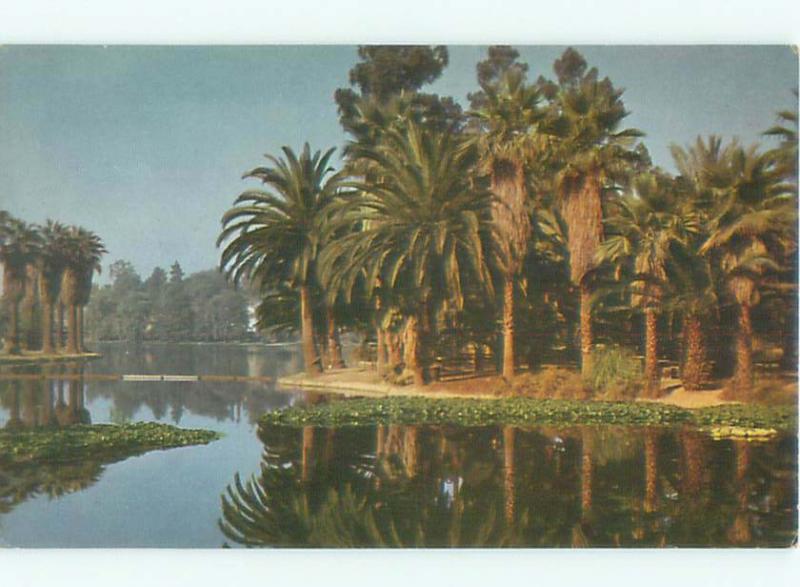 1940's PARK SCENE Los Angeles California CA AF7280